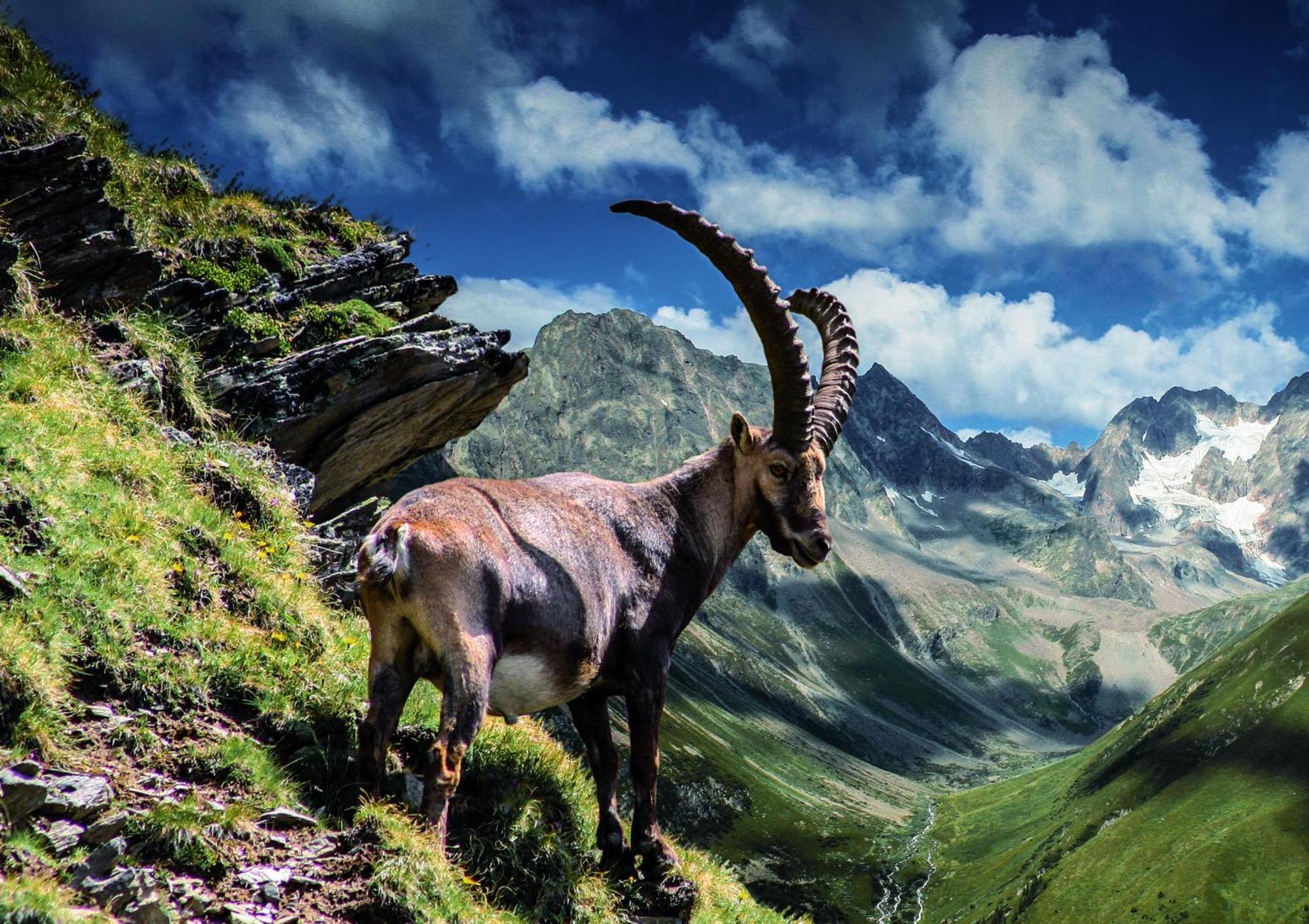 Apart Alpenzeit Arzl im Pitztal Eksteriør bilde
