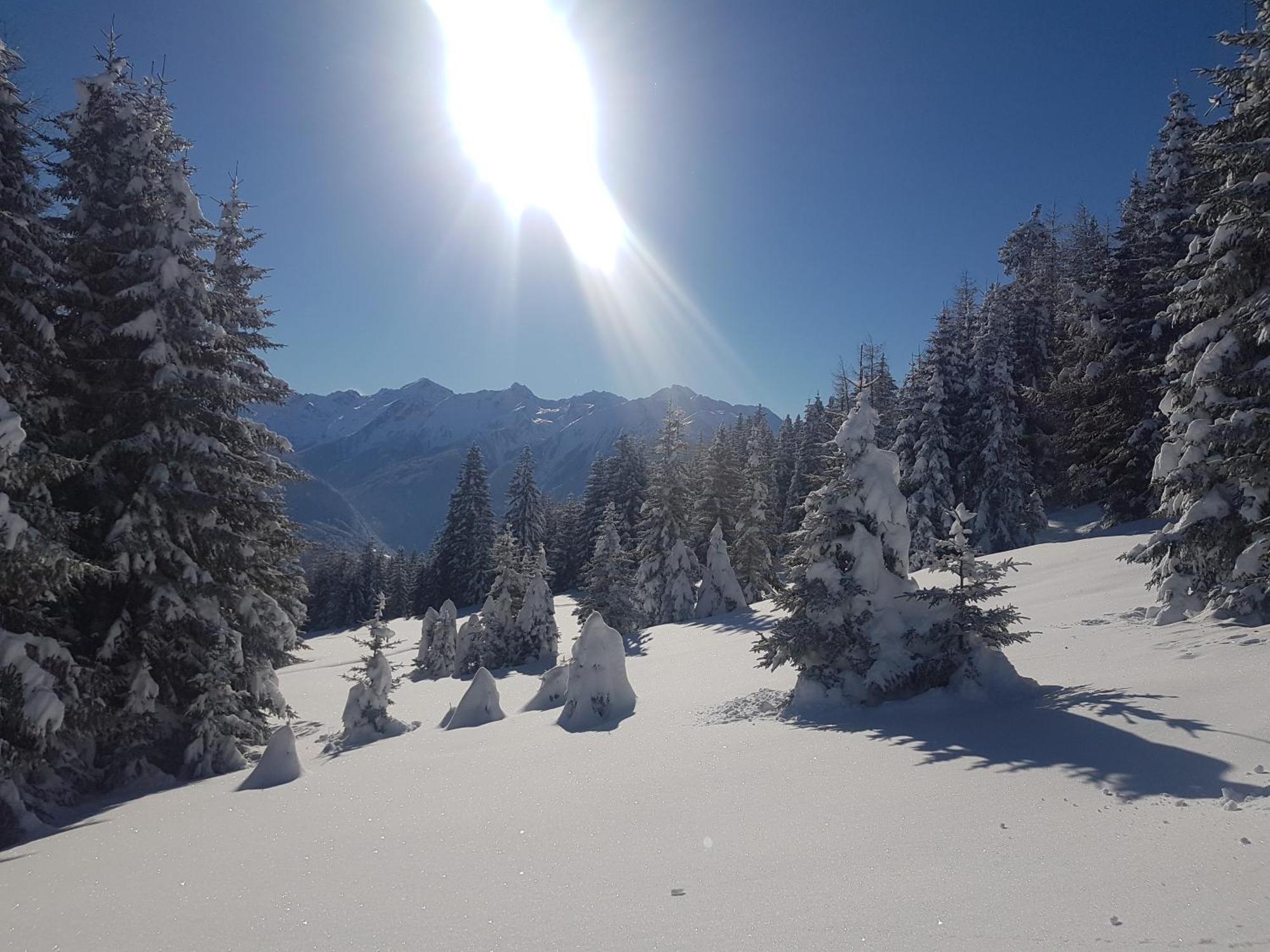 Apart Alpenzeit Arzl im Pitztal Eksteriør bilde